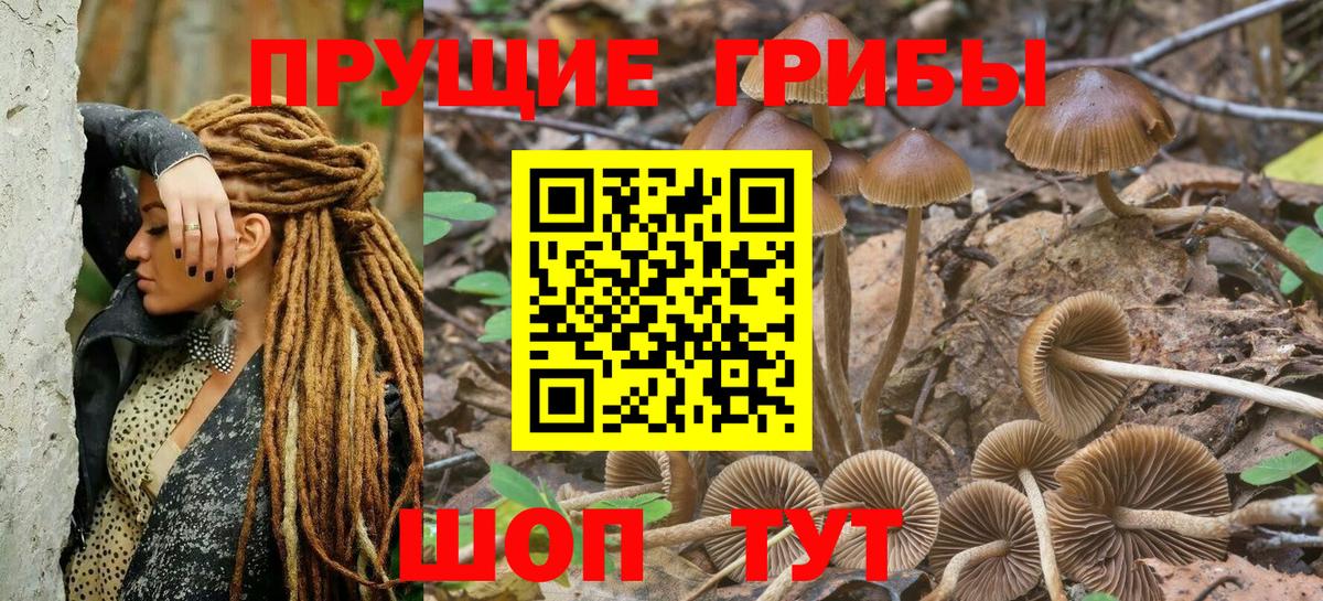 Галлюциногенные грибы мухоморы Киржач